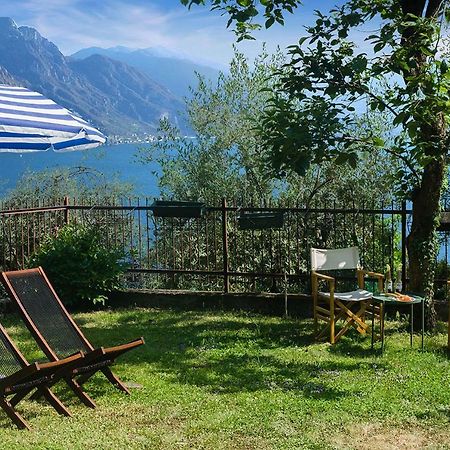 Discesa A Lago With Terrace And Garden On Lake Iseo Riva di Solto Dış mekan fotoğraf